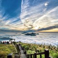 秋季連假遊嘉義 二延平步道、茶香公路沉浸雲海茶園風光