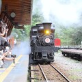 全台唯一！阿里山森林鐵道蒸汽專列檜木列車 10/16限定啟程
