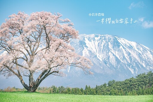 台北跑咖新訊！岩手縣首度空運小海女服裝來台，攜手攝影作家BANBI美照聯展 4家咖啡館至10/1！