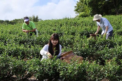 新北市坪林、三峽、雙溪「綠色旅遊」路線 串聯環境教育與在地文化