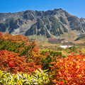 日本最早楓紅開跑！立山黑部秋日漸層美景