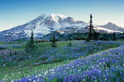 理想的「玩」美地圖／跳脫傳統！串聯太平洋西岸精華 直擊北美森林與火山地貌