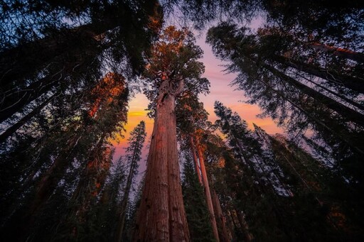 理想的「玩」美地圖／跳脫傳統！串聯太平洋西岸精華 直擊北美森林與火山地貌