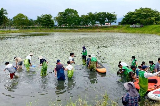 美濃湖溼地工程成功復育水雉 成為親子生態旅遊的好去處