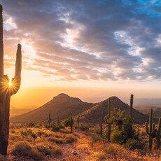 美國國家旅遊局揭全新景點 華航及星宇啟航鳳凰城開啟亞利桑那州新篇章
