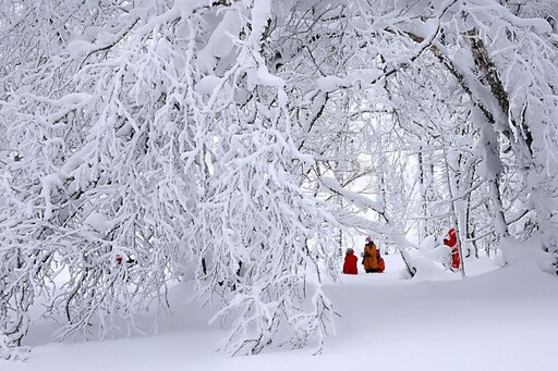 夢幻冬日暢遊美麗中華 赴一場冰雪奇境盛宴