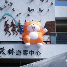 茂林雙年賞蝶季盛大開幕！白爛貓相伴 同賞世界唯二奇景「紫蝶幽谷」