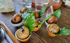 台灣好行「東山咖啡線」享山城美景、泡湯暖身 期間限定消費贈送乘車券