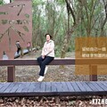 溪州公園森林木棧道區改善全新啟用 快來健行集章換好禮