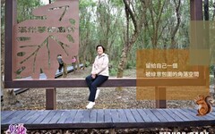 溪州公園森林木棧道區改善全新啟用 快來健行集章換好禮