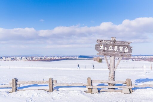 日本賞雪景點有哪些？6個絕美仙境此生必訪