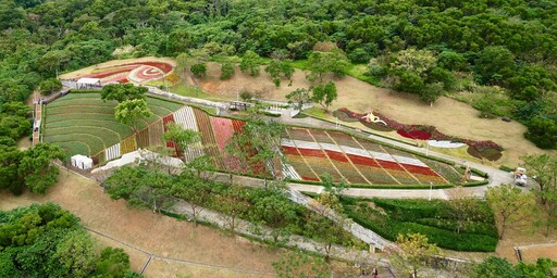 台版富良野「三層崎花海」盛開 大冠鷲地景守望花田