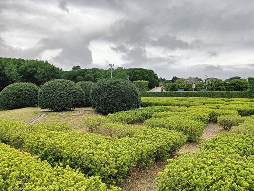 花博歐風迷宮花園 歡迎民眾揪親友玩捉迷藏