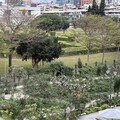 花博歐風迷宮花園 歡迎民眾揪親友玩捉迷藏