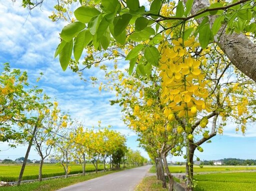 旅遊電子報《魚頭君帶路》6月號:水漾臺南圳流百年 水庫、埤塘、溼地消暑好去處
