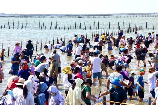 「2025臺南七股海鮮節」即將開跑 挖文蛤體驗、揪團遊七GO、海鮮美食等你來體驗