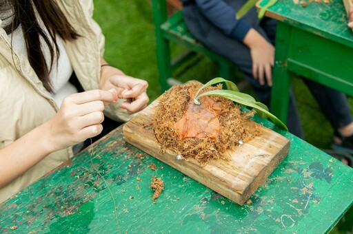 宜蘭新景點「蘭陽動植物王國」試營運！免飛澳洲與袋鼠近距離 還能穿浴衣拍美照