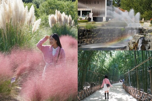 【韓國景點推薦】太和江國家庭園「粉黛亂子草」開了！朝聖粉色花海遊十里竹林