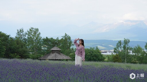 【有片】2024 北海道富良野薰衣草季直擊！富田農場超仙紫色花海「這時」最美、必吃薰衣草霜淇淋