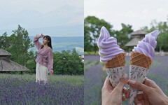 【有片】2024 北海道富良野薰衣草季直擊！富田農場超仙紫色花海「這時」最美、必吃薰衣草霜淇淋
