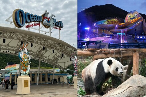 2024 香港海洋公園攻略！夜間限定光影盛夜水舞秀、年底「熊貓新成員」將登場