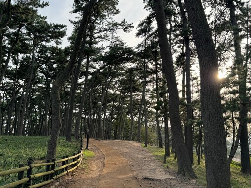 【韓國景點推薦】大王岩公園壯觀奇岩、湛藍大海美翻！順遊「蔚山大橋觀景台」免費賞夜景