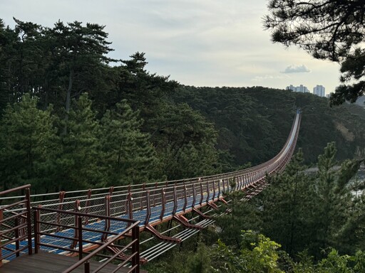 【韓國景點推薦】大王岩公園壯觀奇岩、湛藍大海美翻！順遊「蔚山大橋觀景台」免費賞夜景