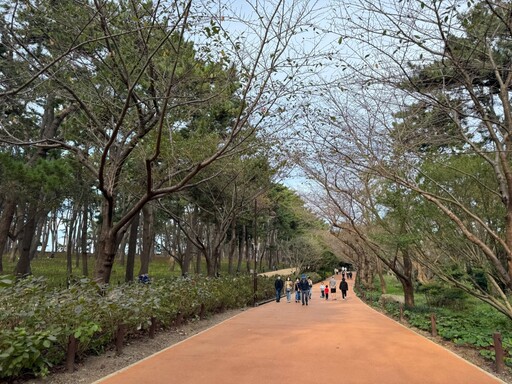 【韓國景點推薦】大王岩公園壯觀奇岩、湛藍大海美翻！順遊「蔚山大橋觀景台」免費賞夜景