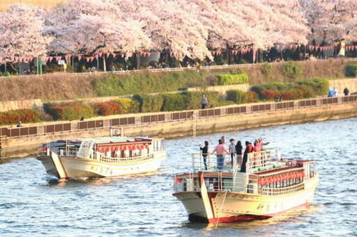 東京走春 擁抱櫻海綻放高光時刻 千代田、上野、墨堤三大櫻花祭陸續登場