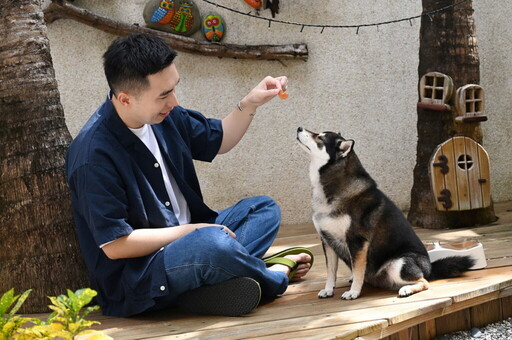 毛孩度假新風潮 墾丁凱撒飯店推寵物友善住房專案