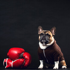 不是第一名，卻笑得最燦爛？人生競賽中，原來季軍才是最後的贏家