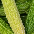 有「有綠色寶石」的美稱的1蔬菜，能幫助改善體內發炎狀況