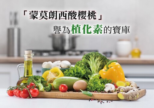 植化素寶庫紅寶石酸櫻桃 符合蔬果579均衡飲食新觀念