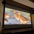 《勇闖天際線》電影特映會活動 生態保育推廣交流