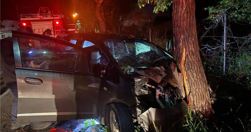 台東女司機深夜自撞路樹1男4女受傷送醫 6歲女童左小腿骨折