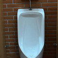 新北公園「男廁1設計」！他大讚盼普及：差好多 全場點頭支持