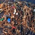 G20峰會共識：2050年海洋塑膠垃圾歸零