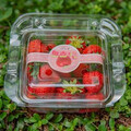 台灣第一個「碳標籤」認證草莓誕生！苗改場輔導農場取得認證、期望達到5年內碳足跡減量3％目標