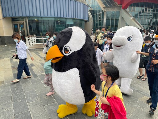 屏東海生館歡度世界企鵝日 馬可羅尼企鵝寶寶萌樣曝光 推夜宿優惠引熱潮