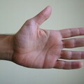 男性性能力看「握力」就知！泌尿醫：是真的