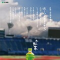人氣日本茶品牌「伊藤園」 親筆信聲援大聯盟球星大谷翔平 雙方簽訂全球合約