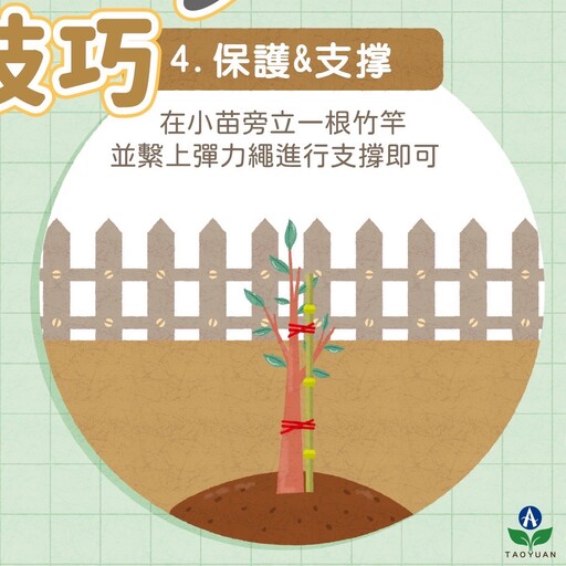 「穀雨」到了 農業局教你種樹小技巧