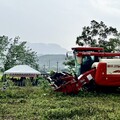 樹豆的食農復興 花蓮農改場助機械採收走進原鄉
