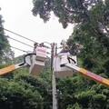電桿遭樹木壓斷 桃園復興區4690戶全數復電