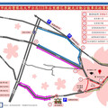 「泰安櫻花季」25日開跑 周遭交通管制措施