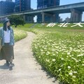新北河濱「春遊少女的祕密花園」百花盛開到6月